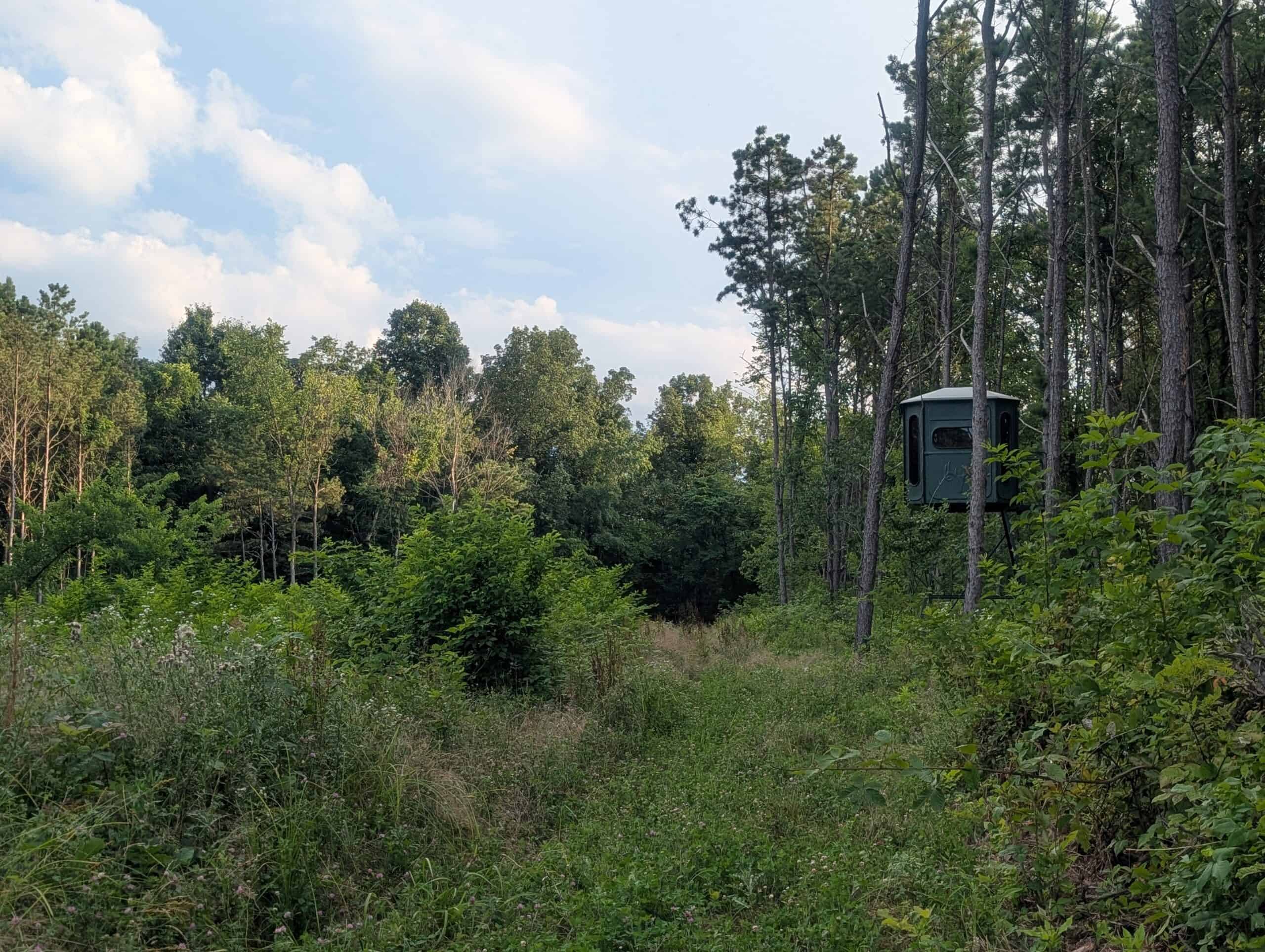 Secluded Turnkey Hunting Property