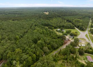 153-Acre Timberland for Sale in Edward, NC