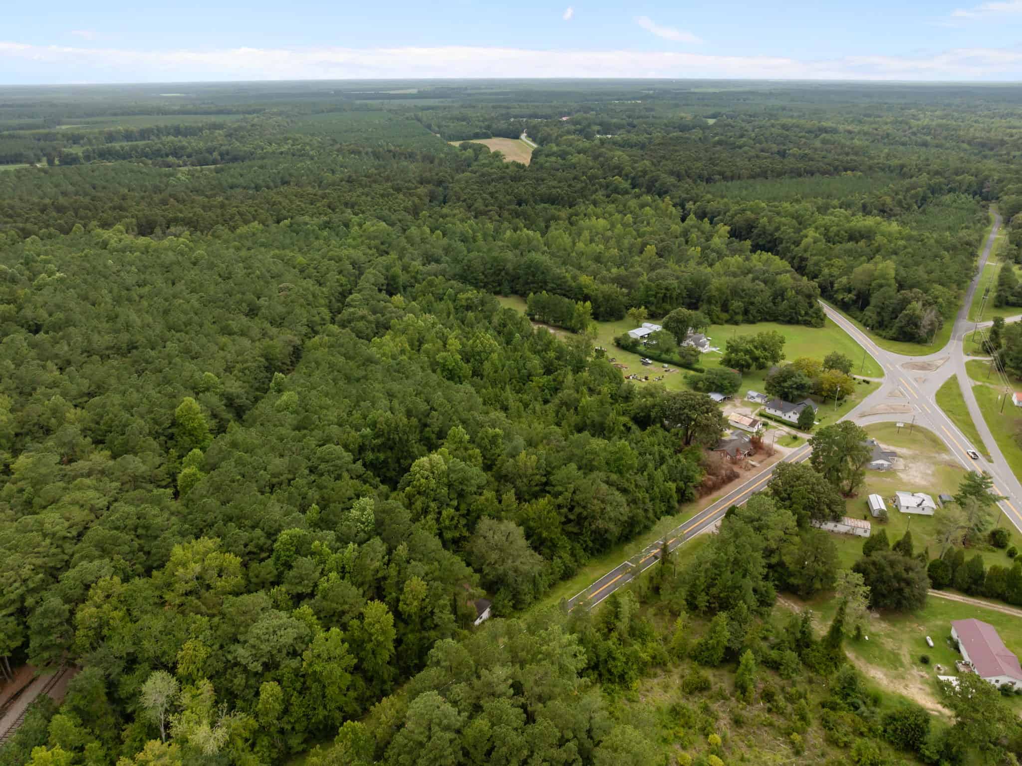 153-Acre Timberland for Sale in Edward, NC