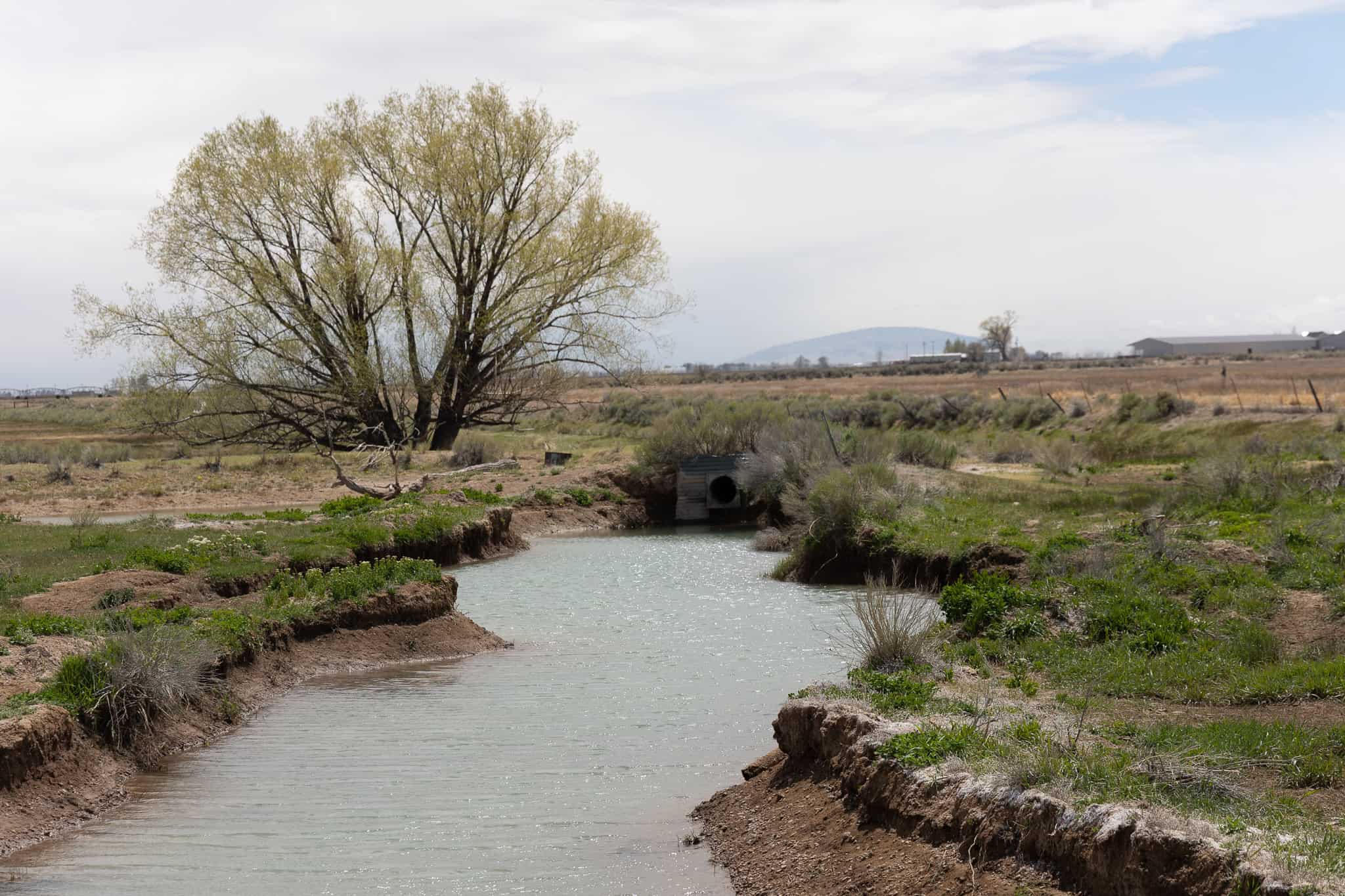 Colorado Alfalfa Farm and Waterfowl Duck Hunting Property