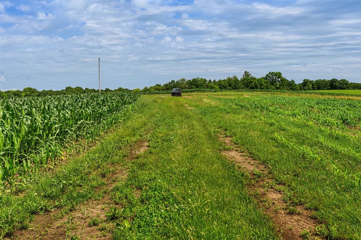 Exceptional 40± acre farm and recreational property