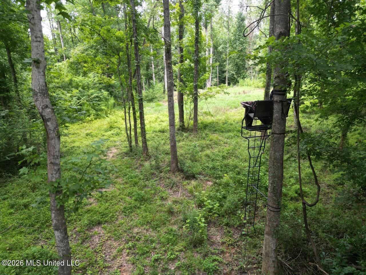 98± Acres in Natchez, MS on Second Creek