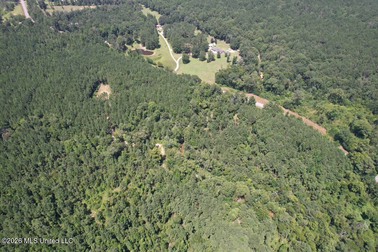 11± Acres in McCall Creek, MS with Creek Frontage