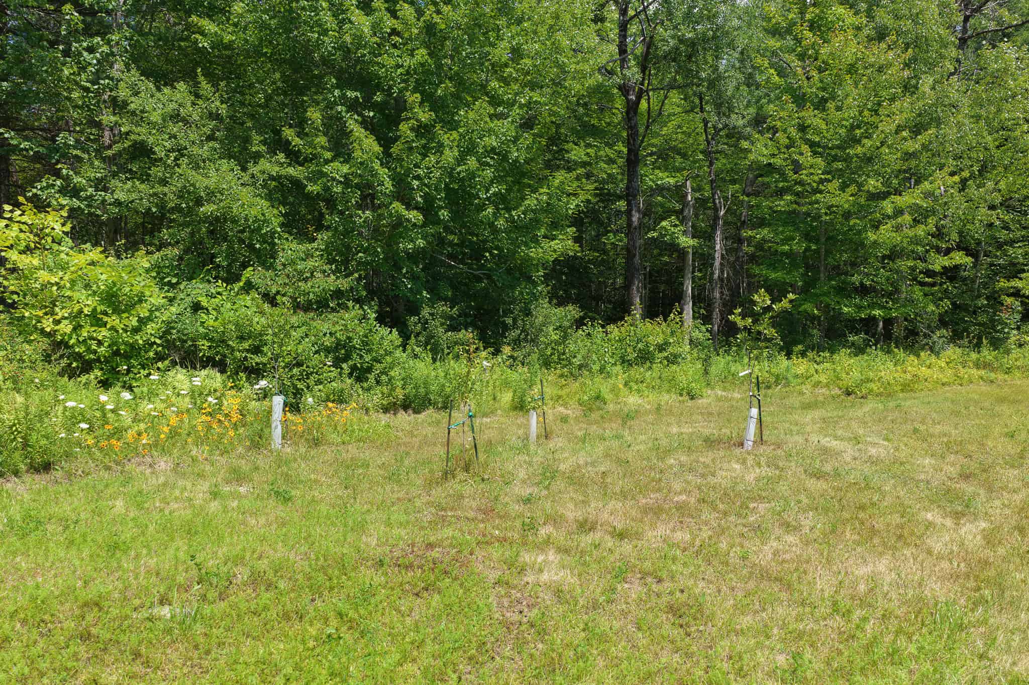 Rural Maine Homestead with 14 Acres