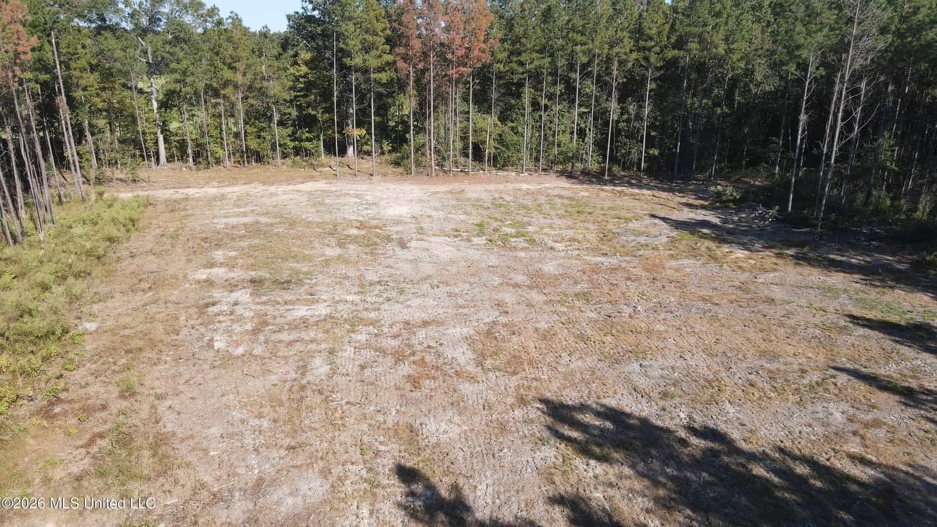 35 Acres for Sale in Pelahatchie, MS | Rankin County