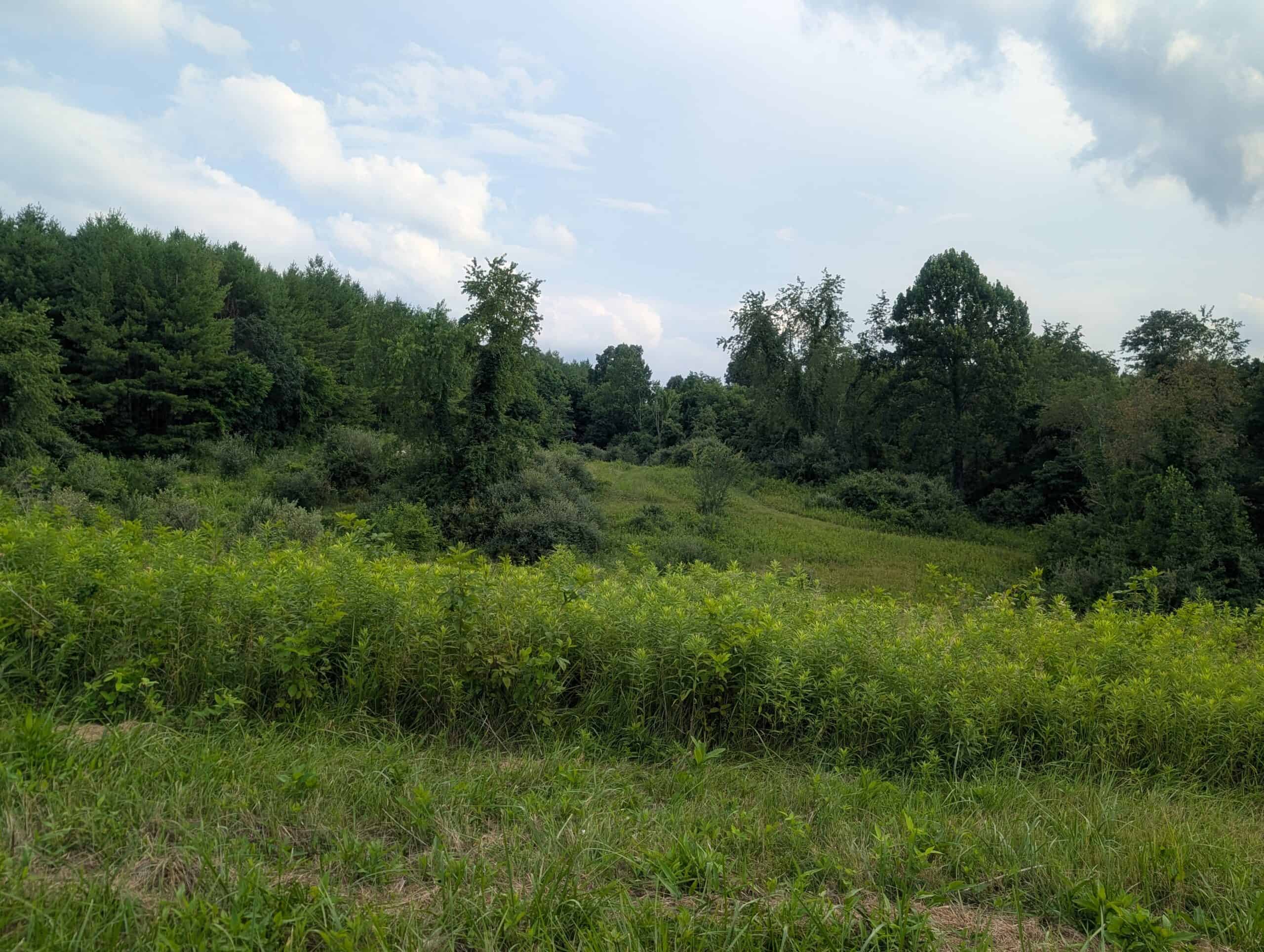 Noble County Investment and Hunting