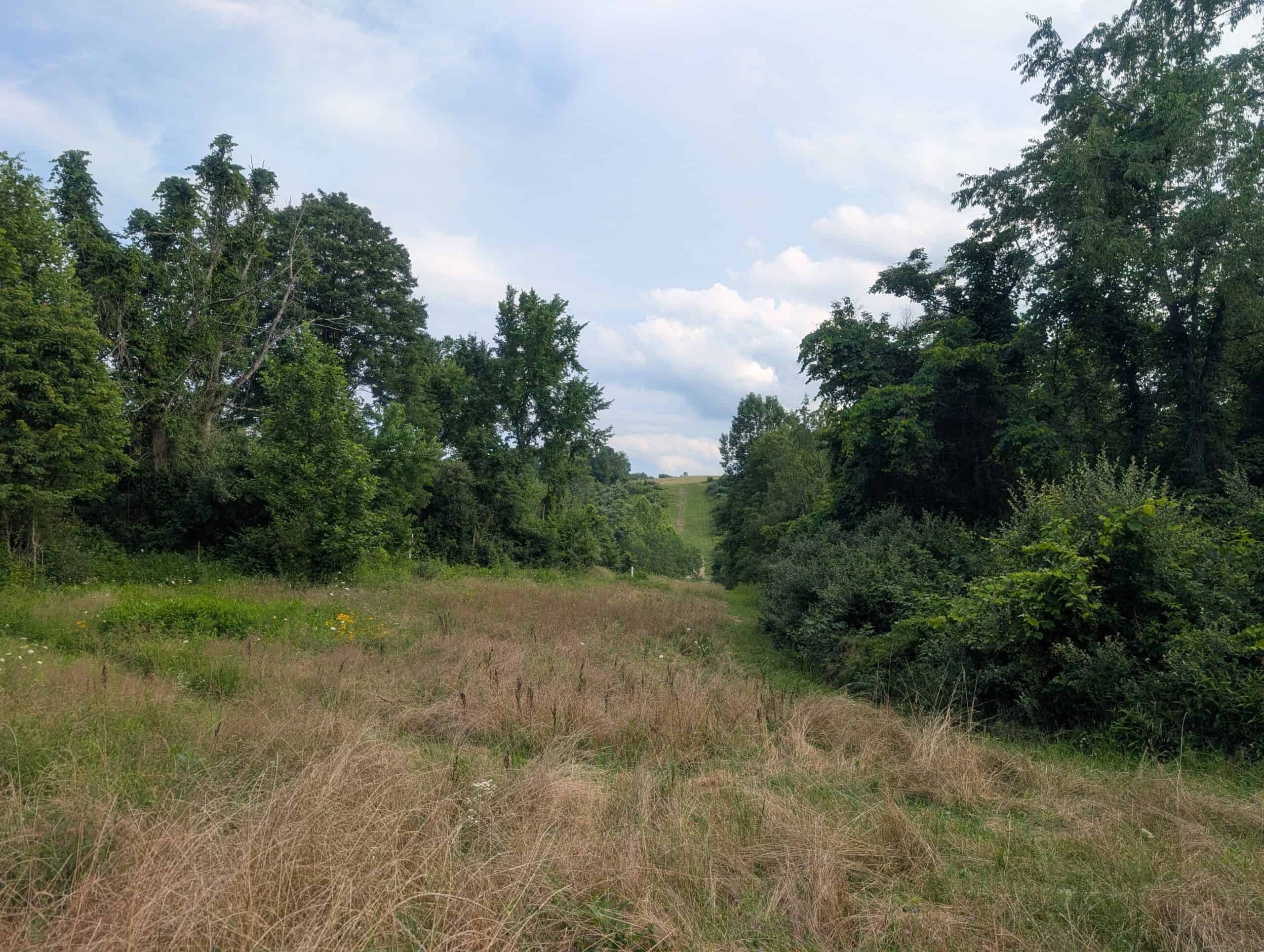 Dream Turnkey Morgan County Hunting Property