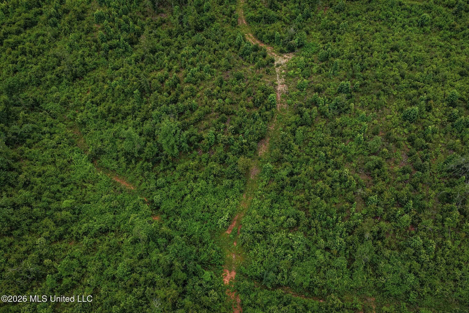 63.75 AC Amite County, MS Hunting Property
