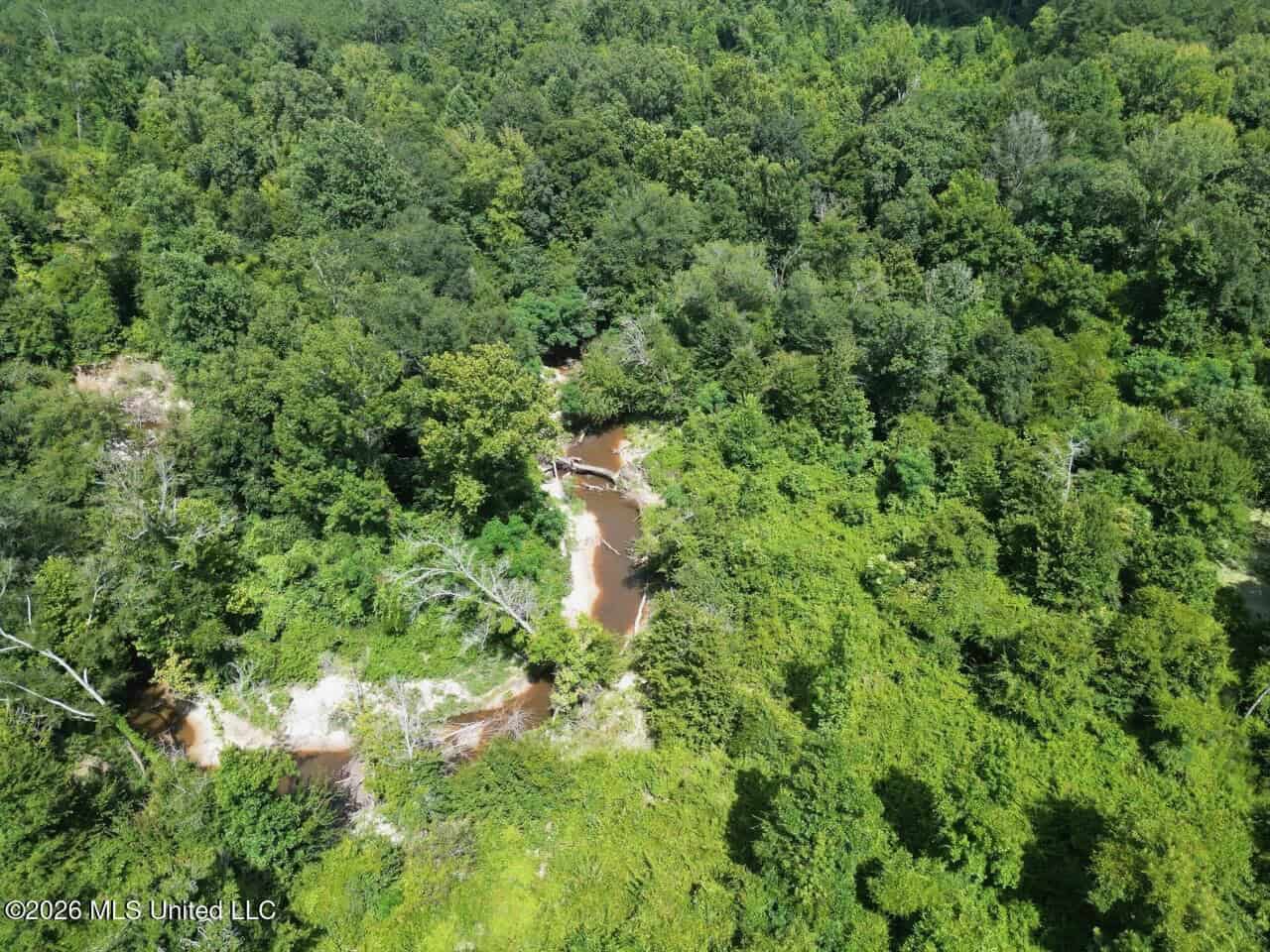 45± Acres in Aimwell, LA with Ford Creek Frontage