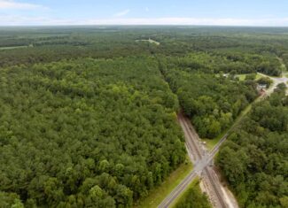 153-Acre Timberland for Sale in Edward, NC
