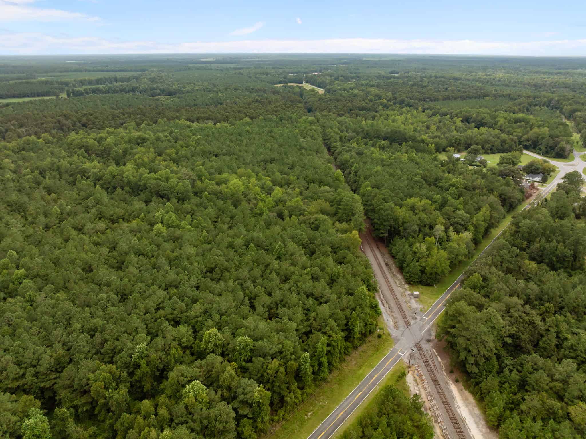 153-Acre Timberland for Sale in Edward, NC