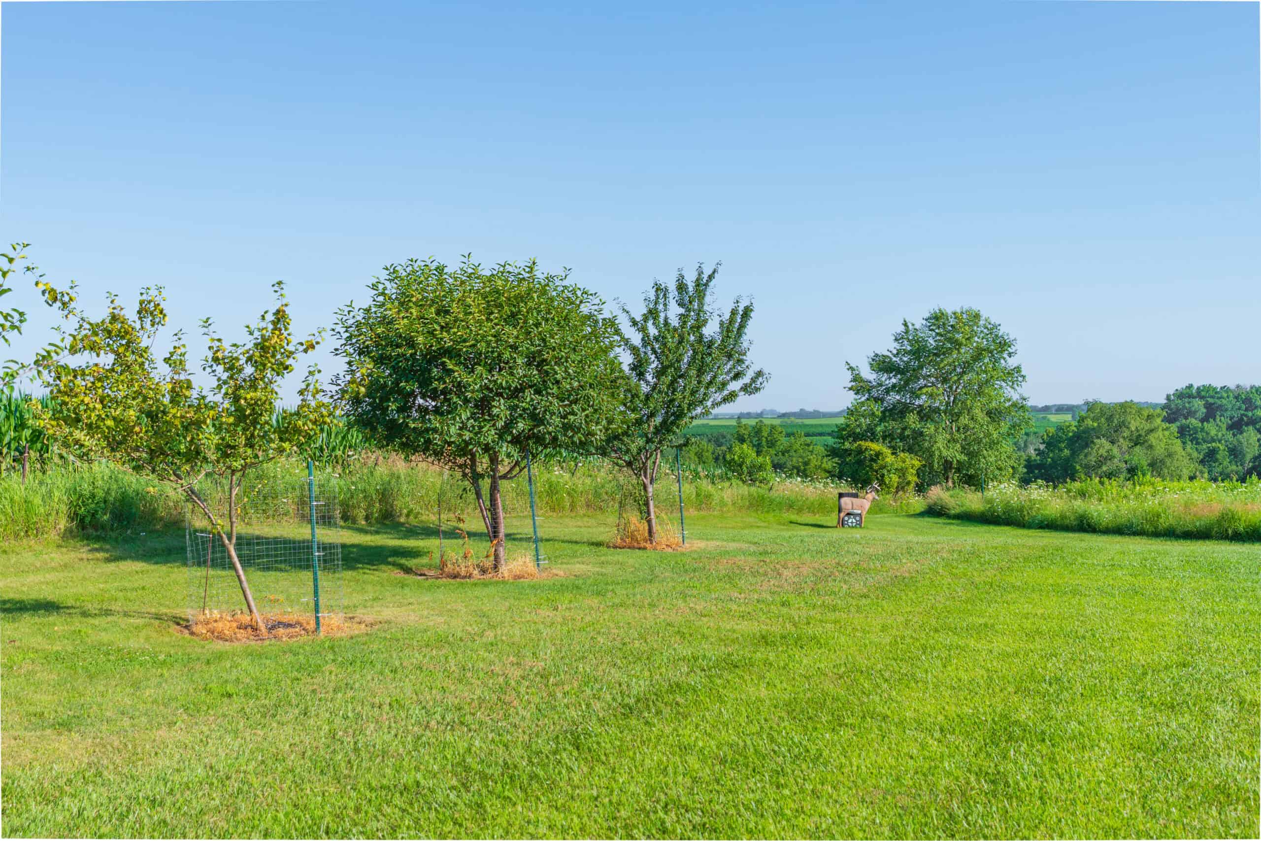 42+/- Acres with 4 Bedroom Home in Decorah IA