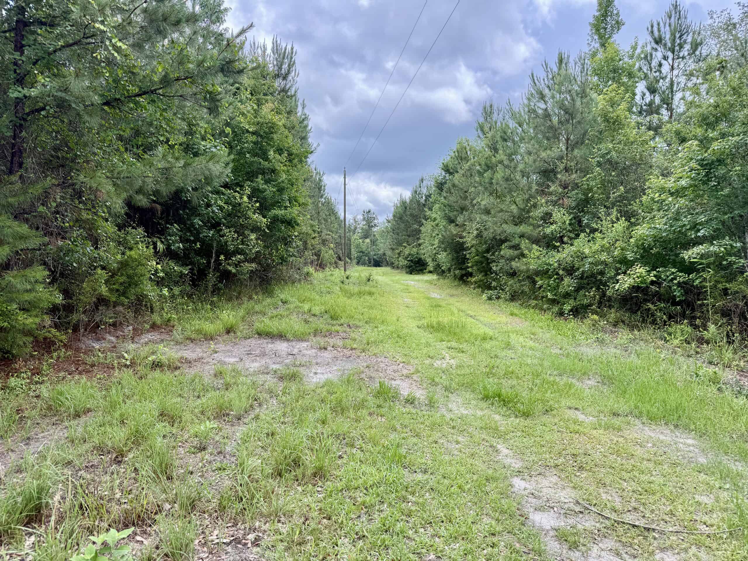 130 Acres on the Chipola River | Hunting, Fishing & Recreation