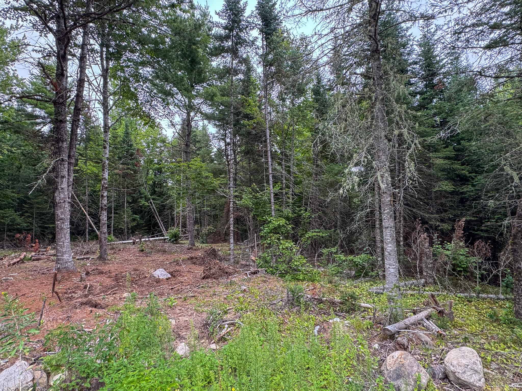 29.5 Acre Private Lot – Springfield, Maine