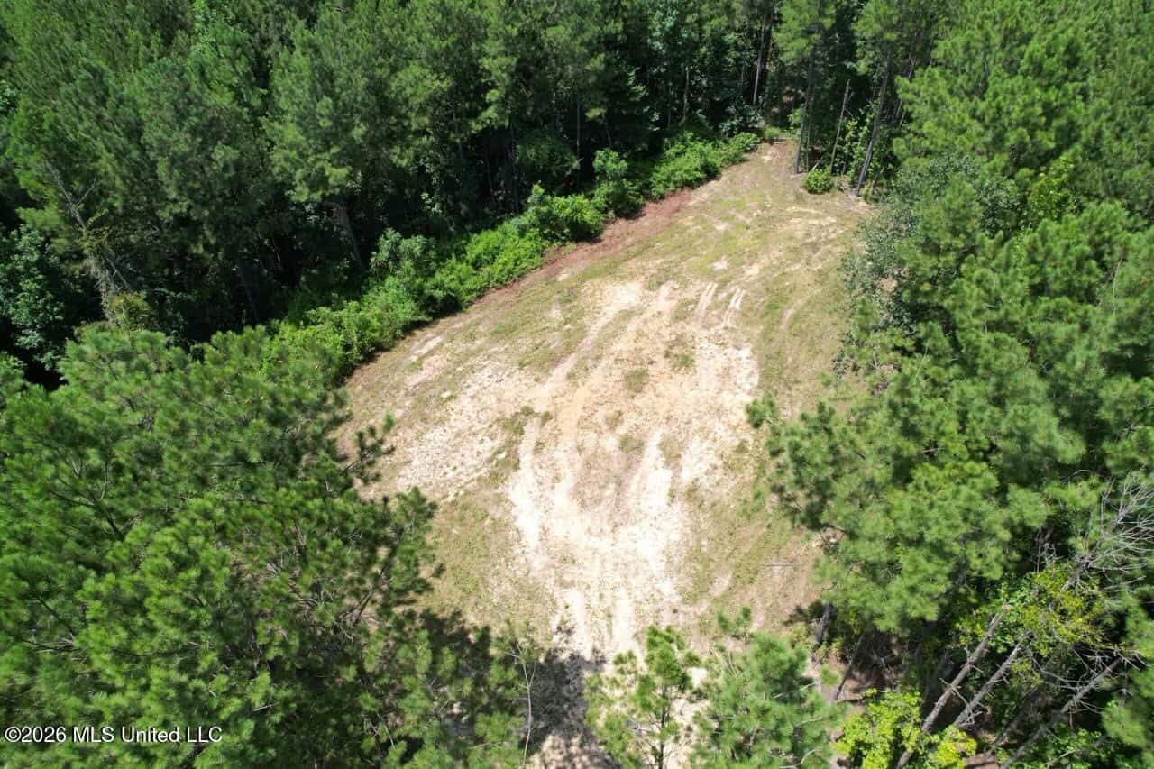11± Acres in McCall Creek, MS with Creek Frontage