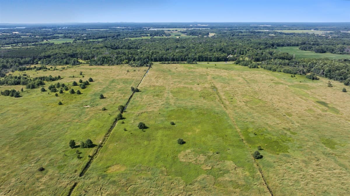 Wisconsin Conservation Land for Sale | 97± Acres in Monroe County