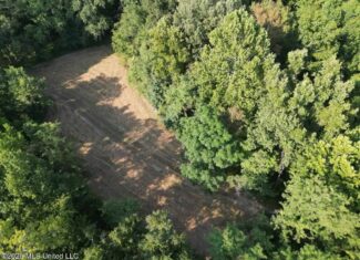 375± Acres in Jefferson County, MS Near Natchez Trace