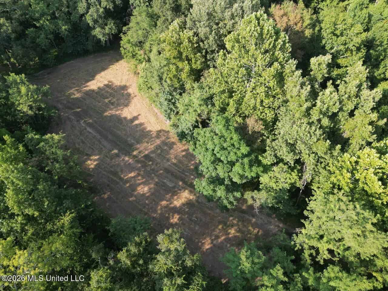375± Acres in Jefferson County, MS Near Natchez Trace