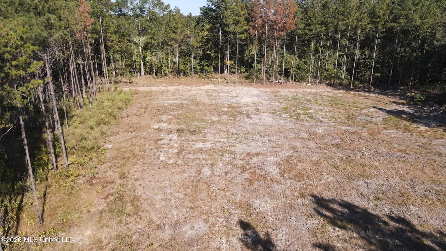 35 Acres for Sale in Pelahatchie, MS | Rankin County