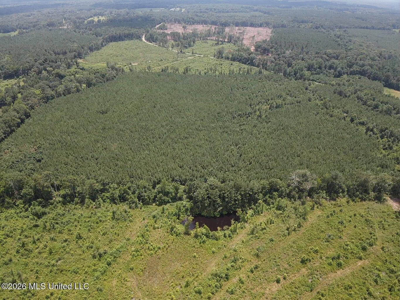 37 Acres for Sale in Morton, MS | Wooded Land
