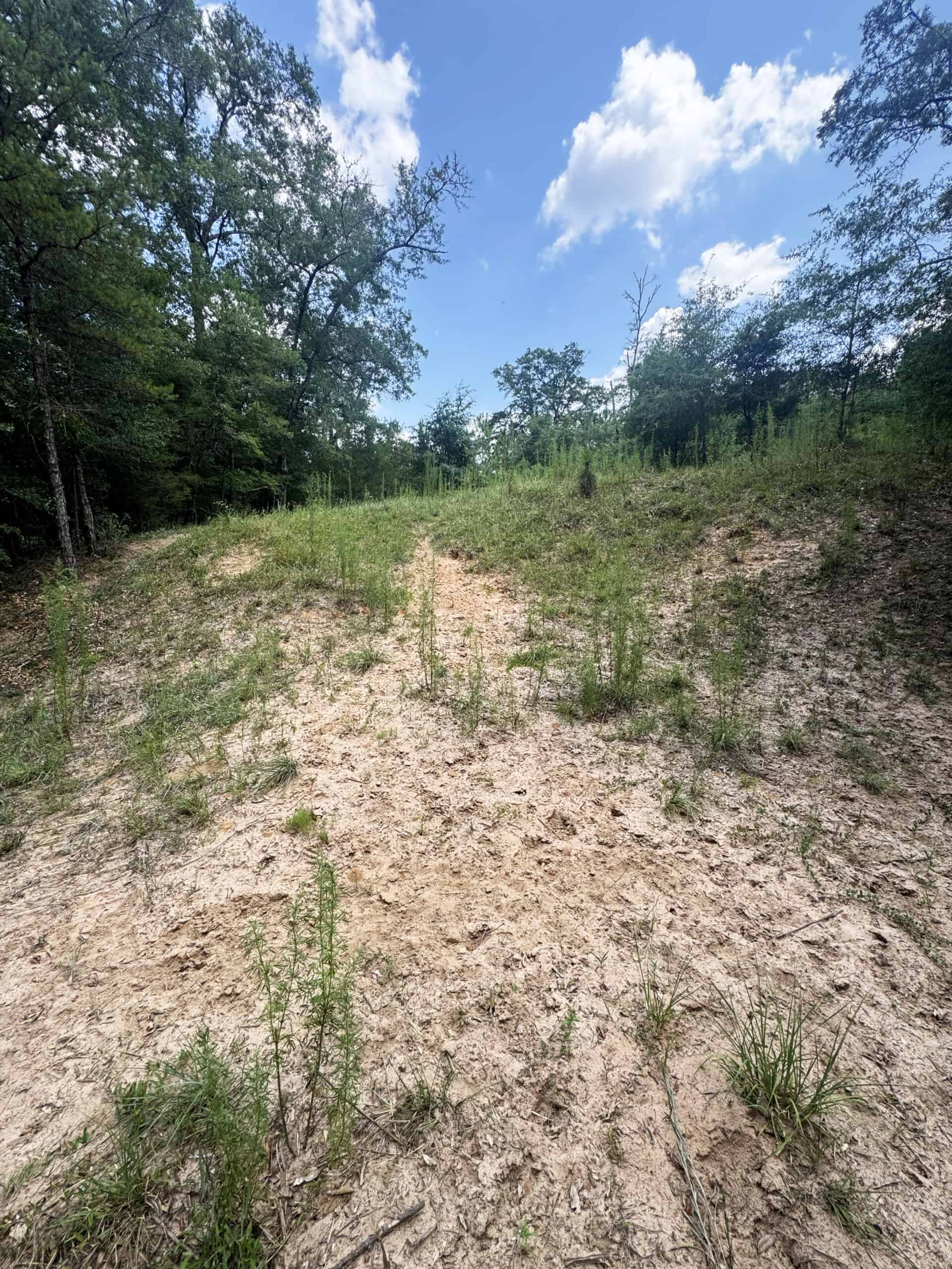 Cotton House Tract: premier 545ac hunting & recreational property in Randolph Cty