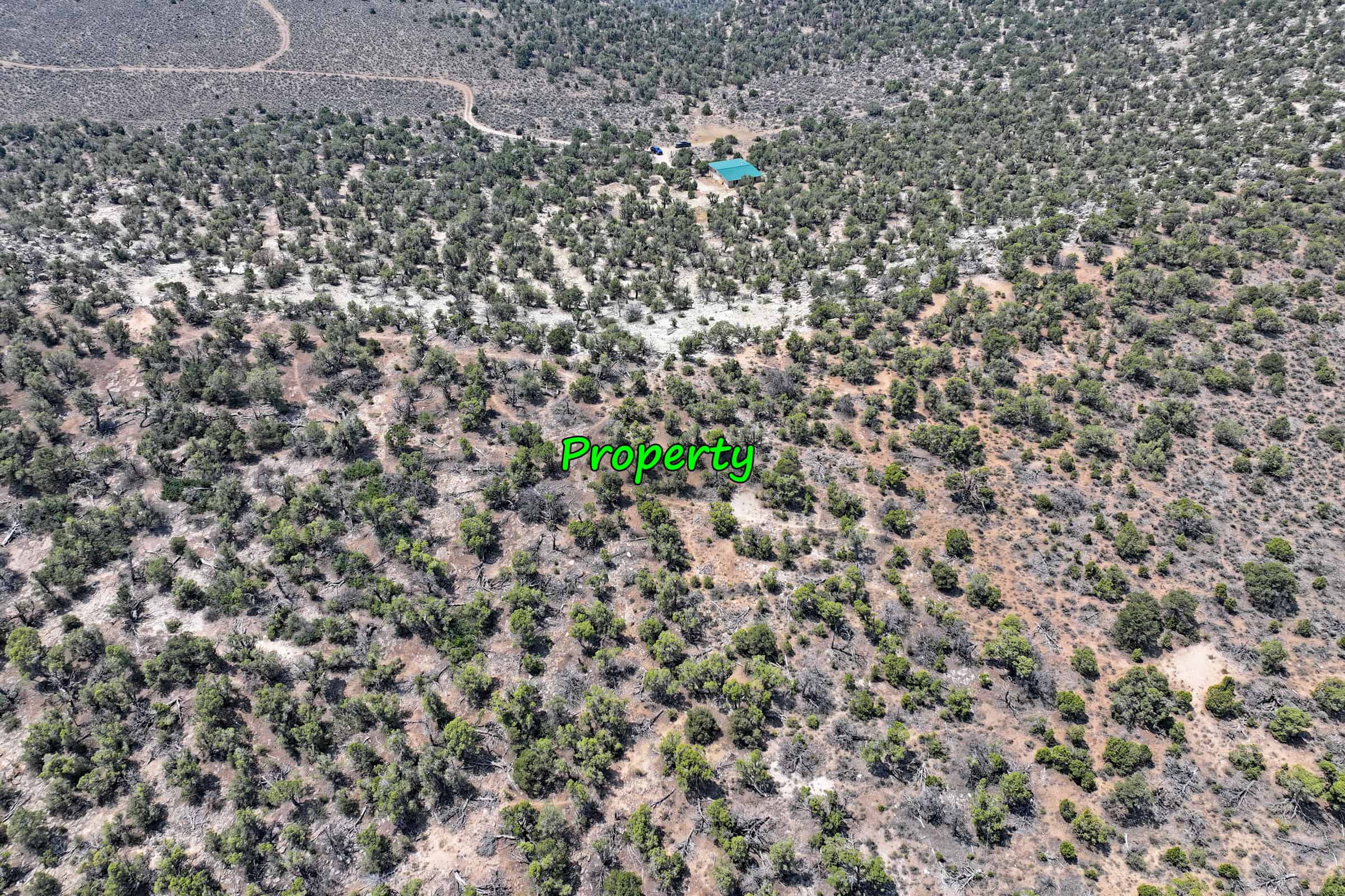 Cabin on 71 Acres in DeBeque Colorado