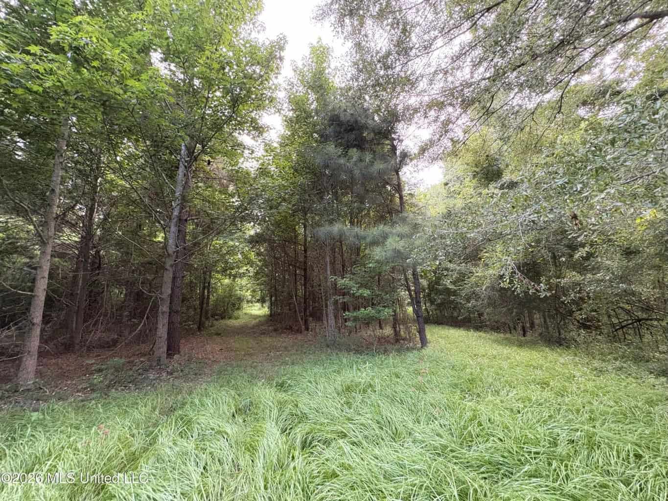 57 Acres Hunting Land for Sale in Gloster MS