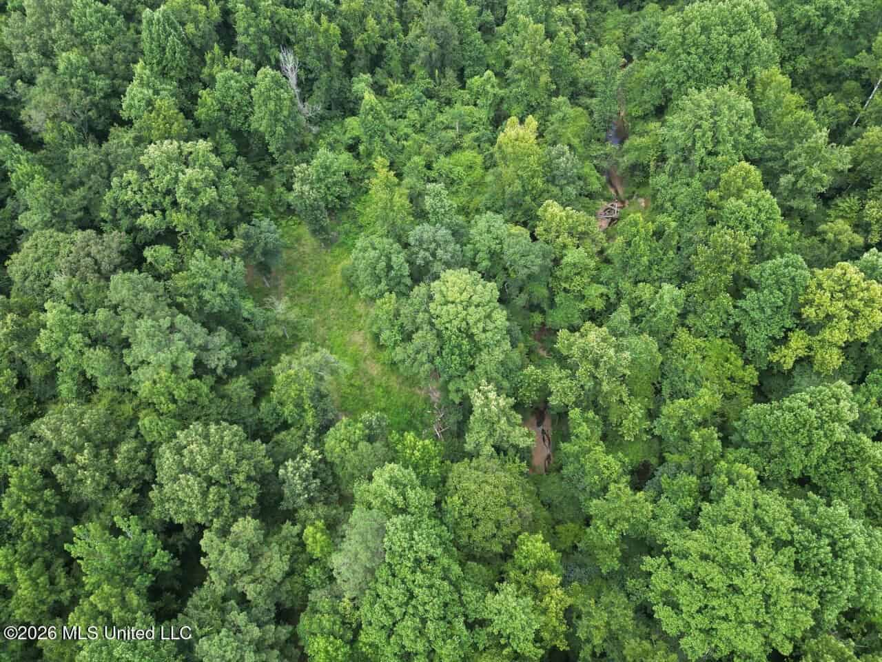 98± Acres in Natchez, MS on Second Creek