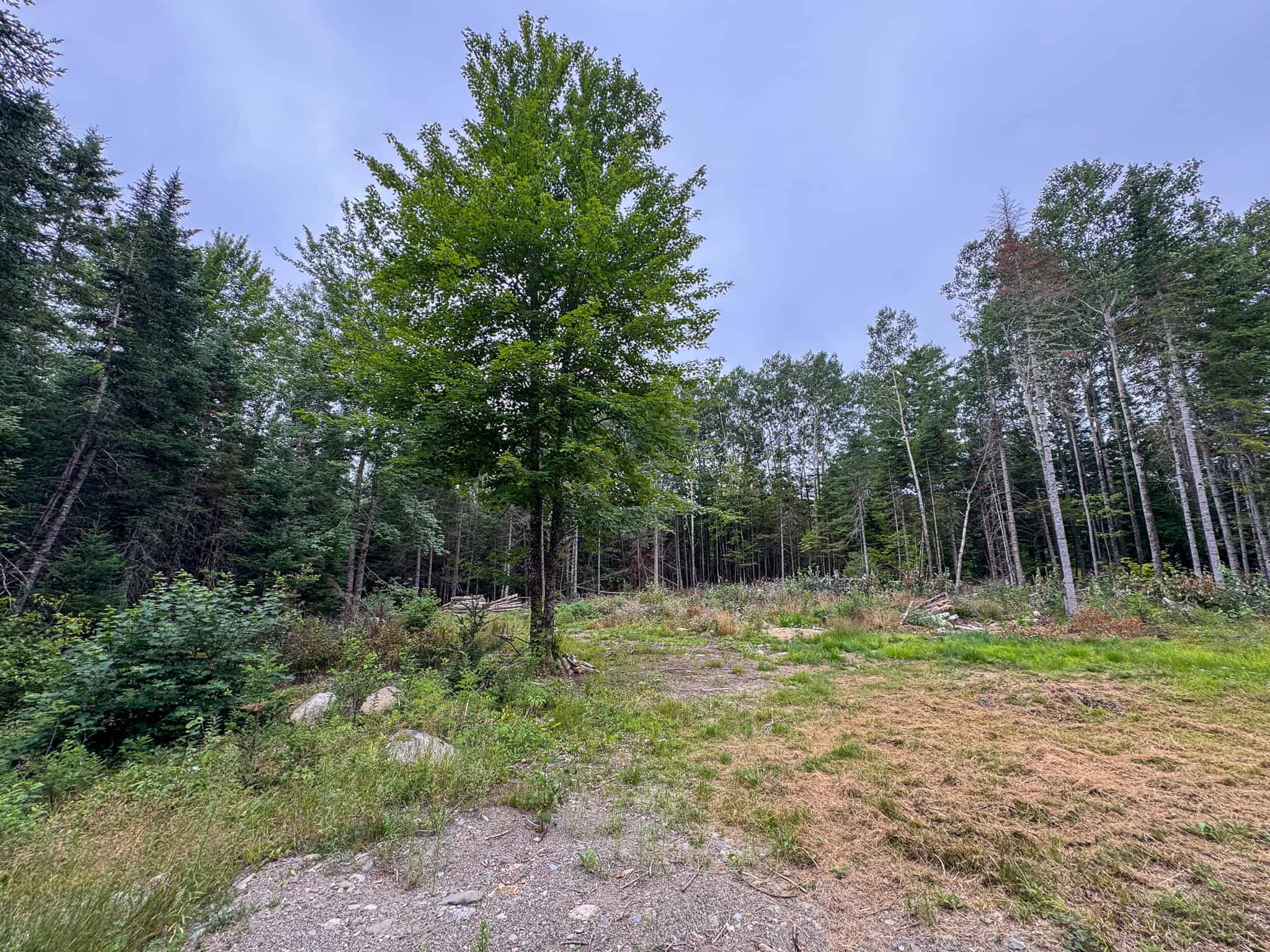 29.5 Acre Private Lot – Springfield, Maine