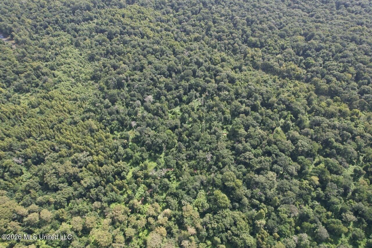 140± Acres in West Feliciana Parish, LA