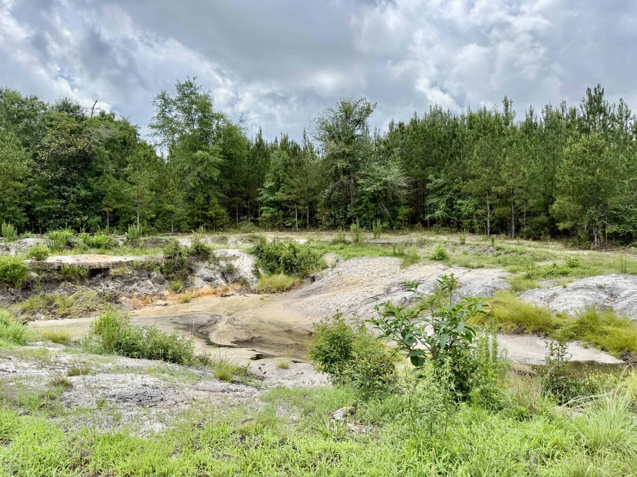 130 Acres on the Chipola River | Hunting, Fishing & Recreation