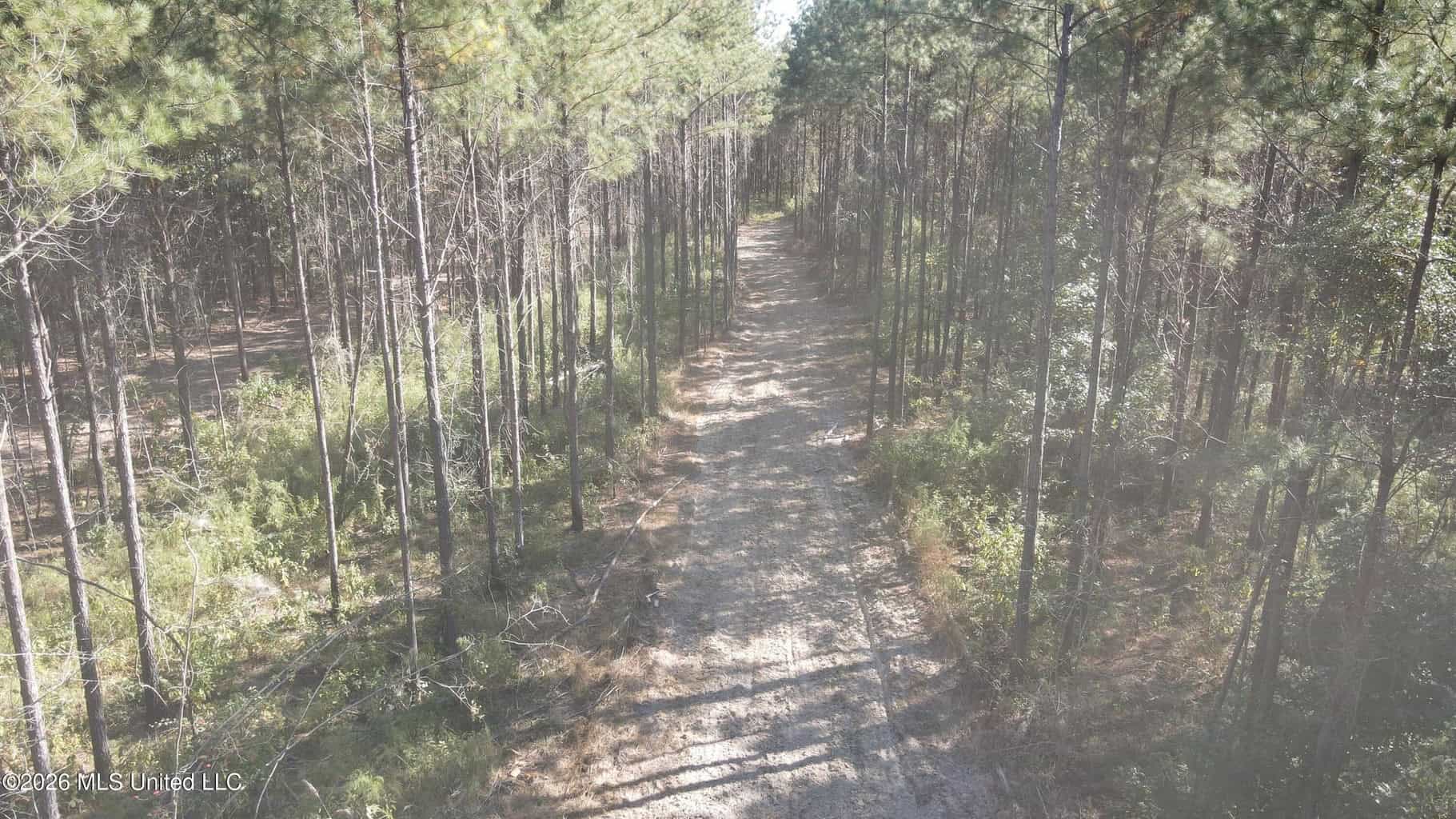 35 Acres for Sale in Pelahatchie, MS | Rankin County