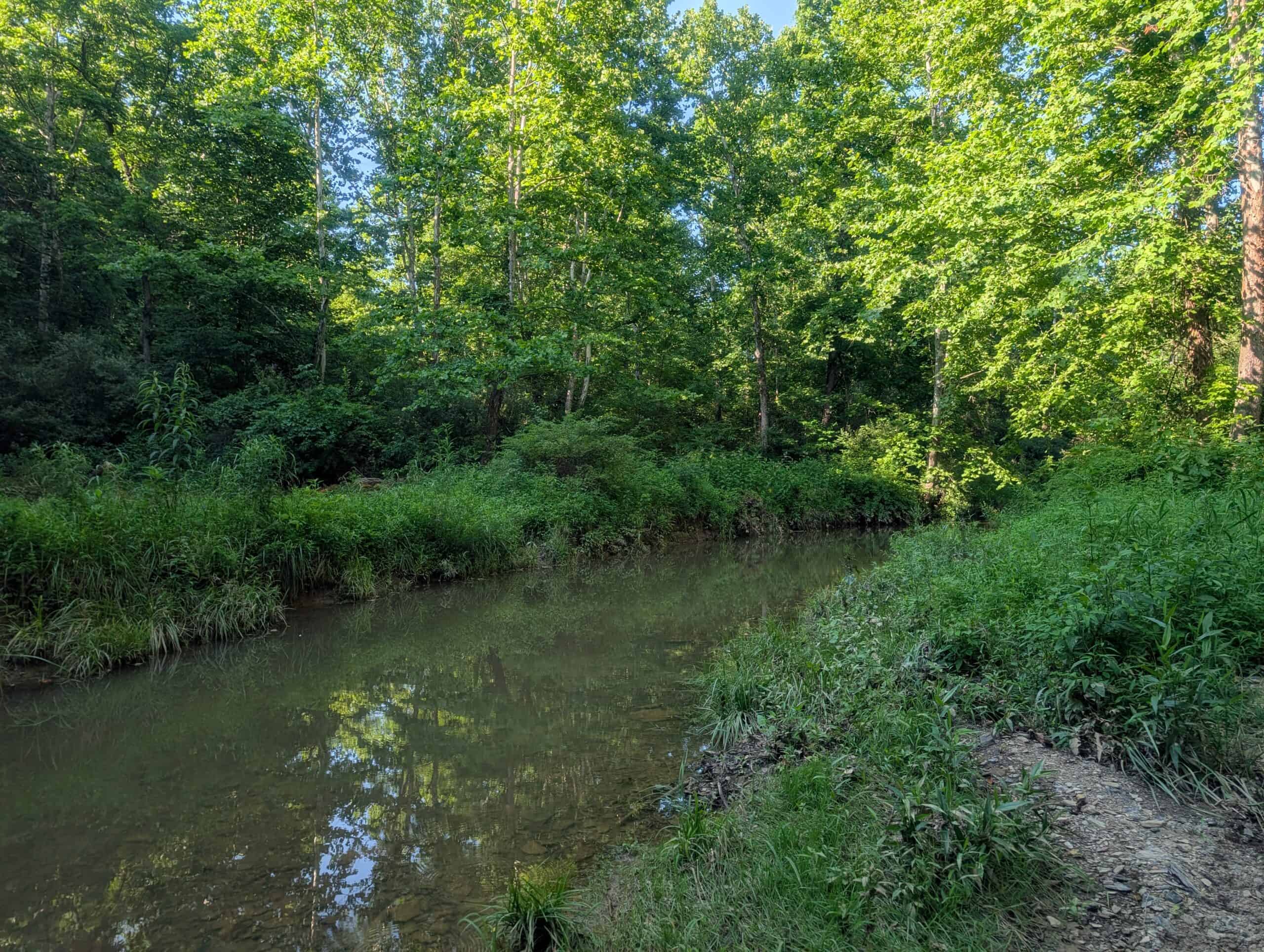 Dream Turnkey Morgan County Hunting Property