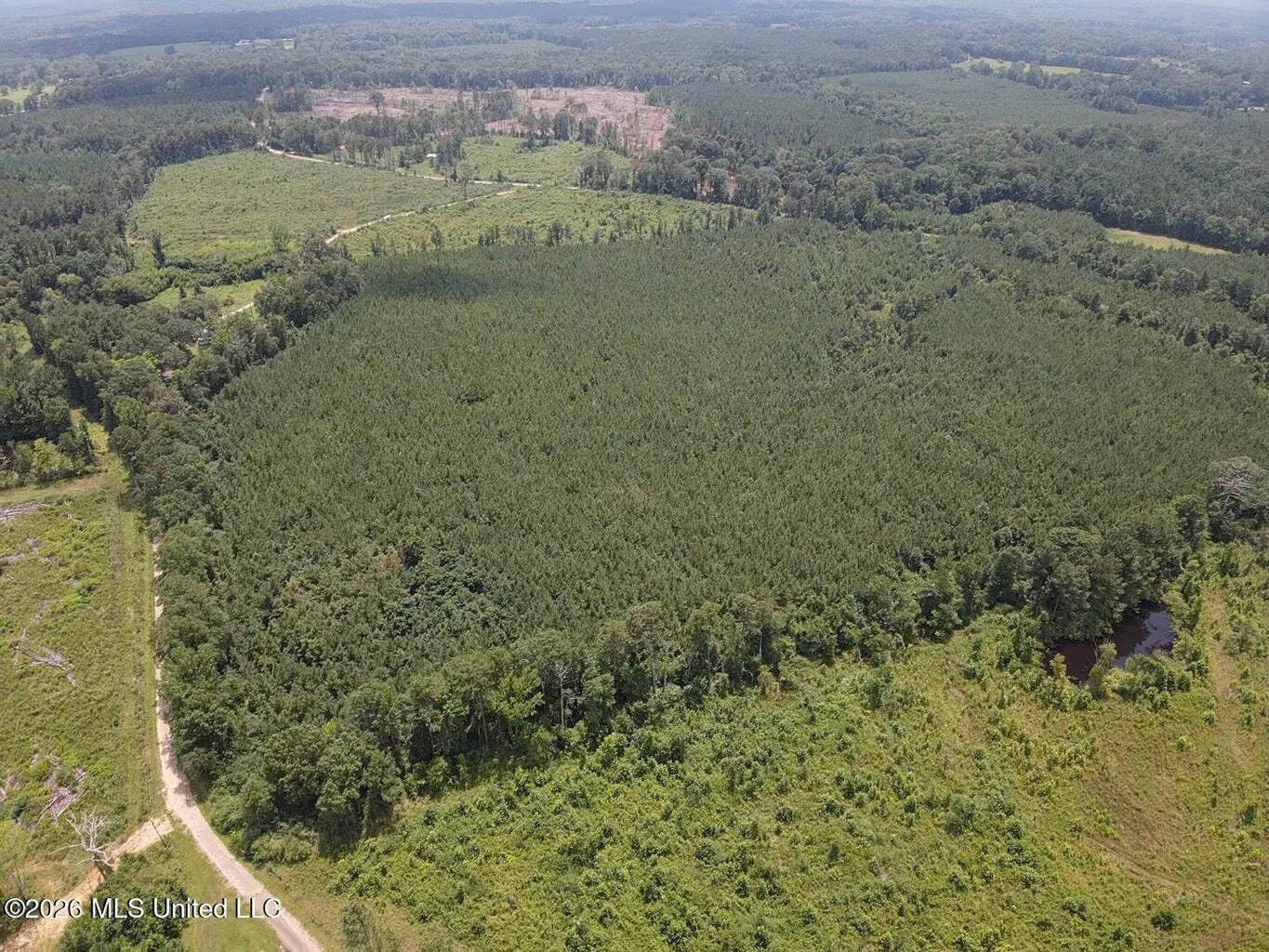 37 Acres for Sale in Morton, MS | Wooded Land