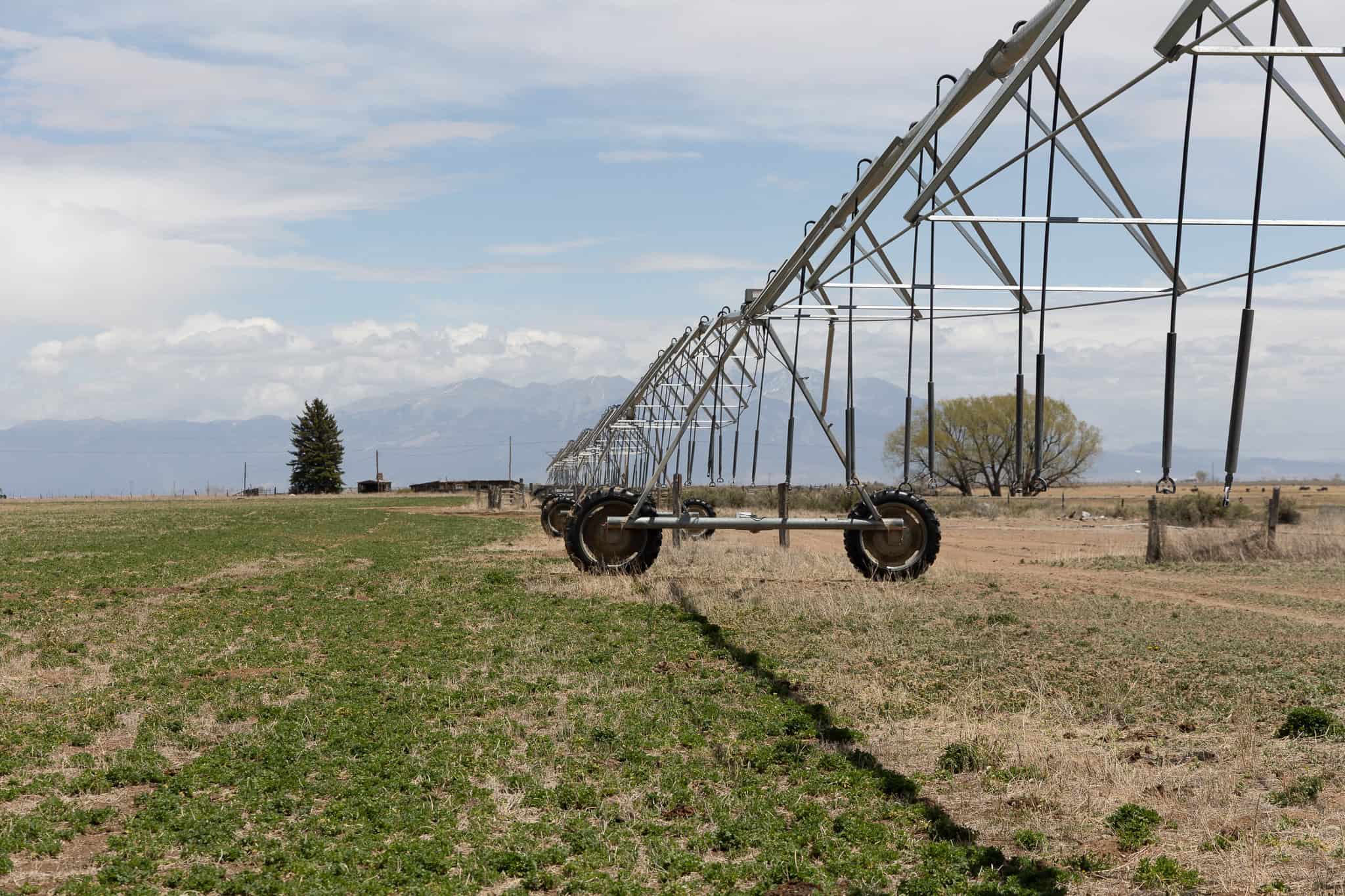 Colorado Alfalfa Farm and Waterfowl Duck Hunting Property