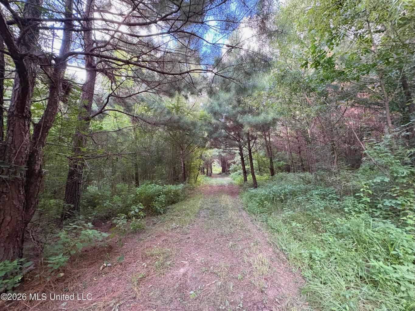 57 Acres Hunting Land for Sale in Gloster MS