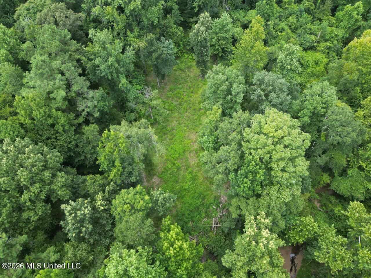 98± Acres in Natchez, MS on Second Creek