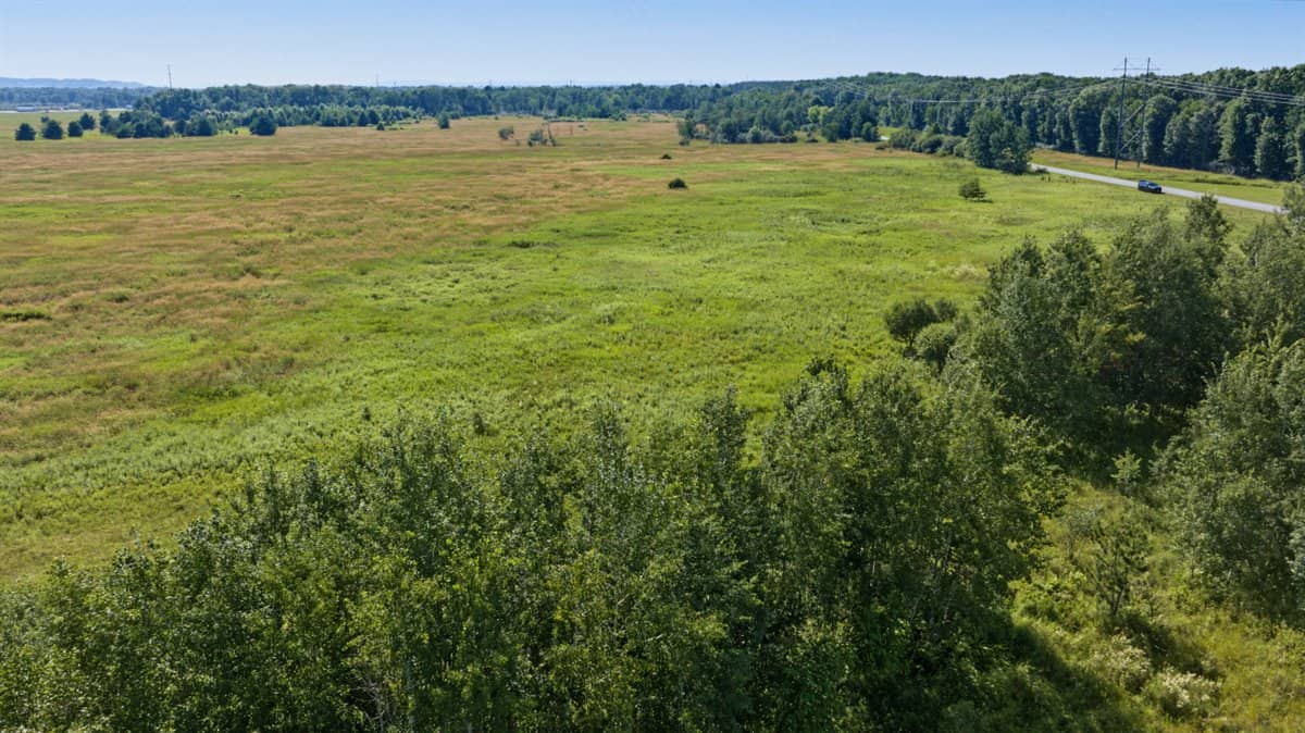 Wisconsin Conservation Land for Sale | 97± Acres in Monroe County
