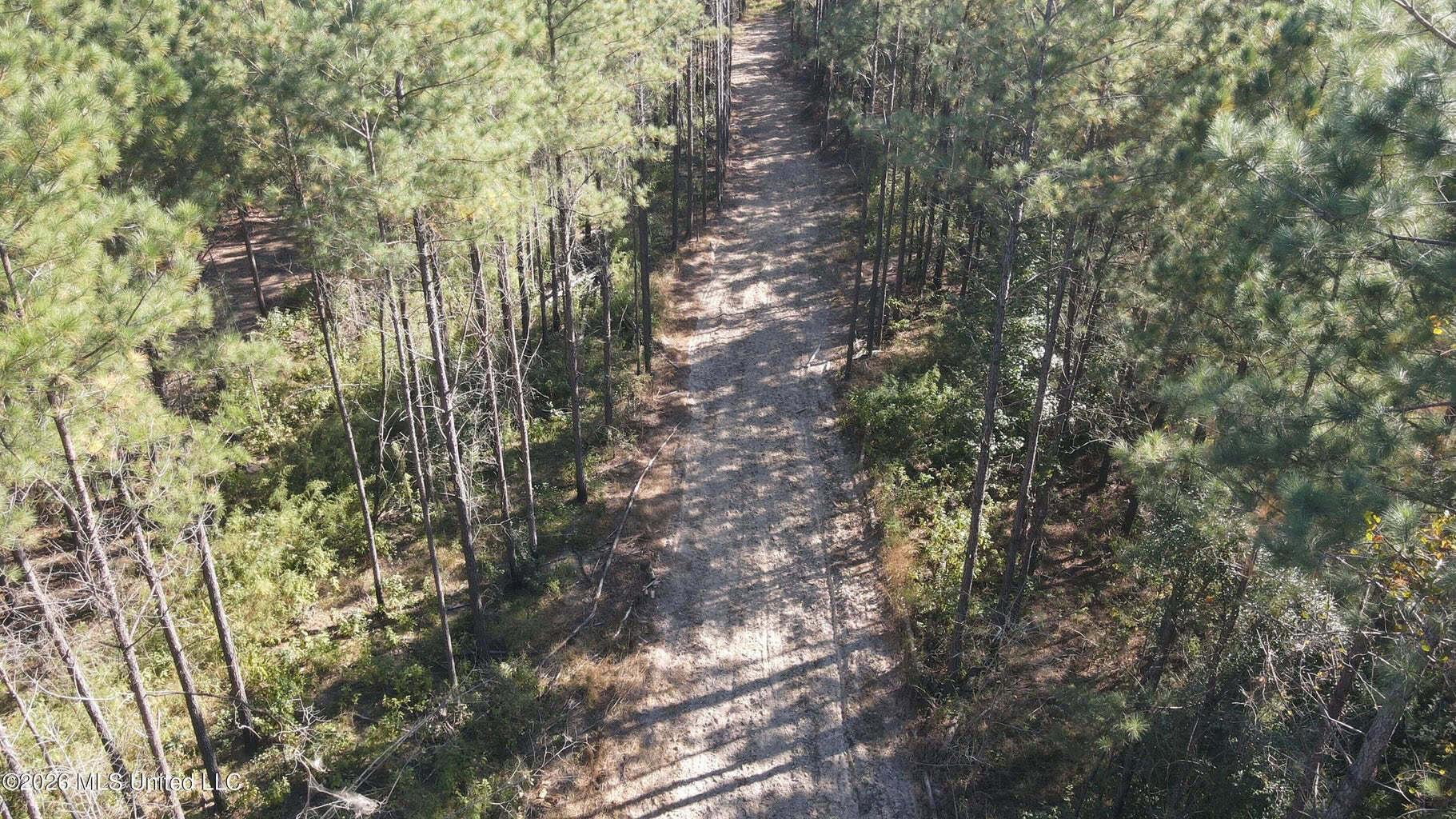 35 Acres for Sale in Pelahatchie, MS | Rankin County