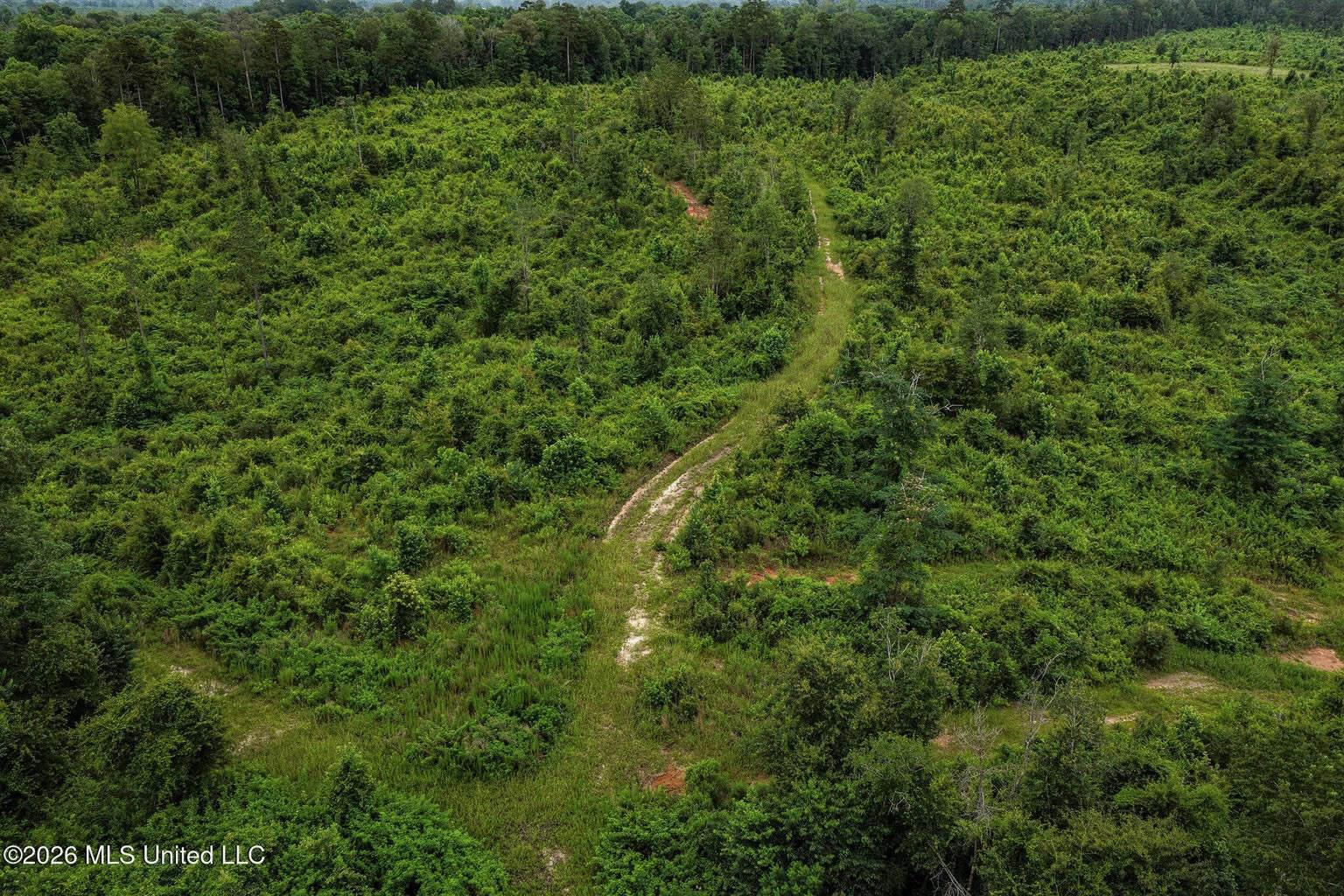 63.75 AC Amite County, MS Hunting Property