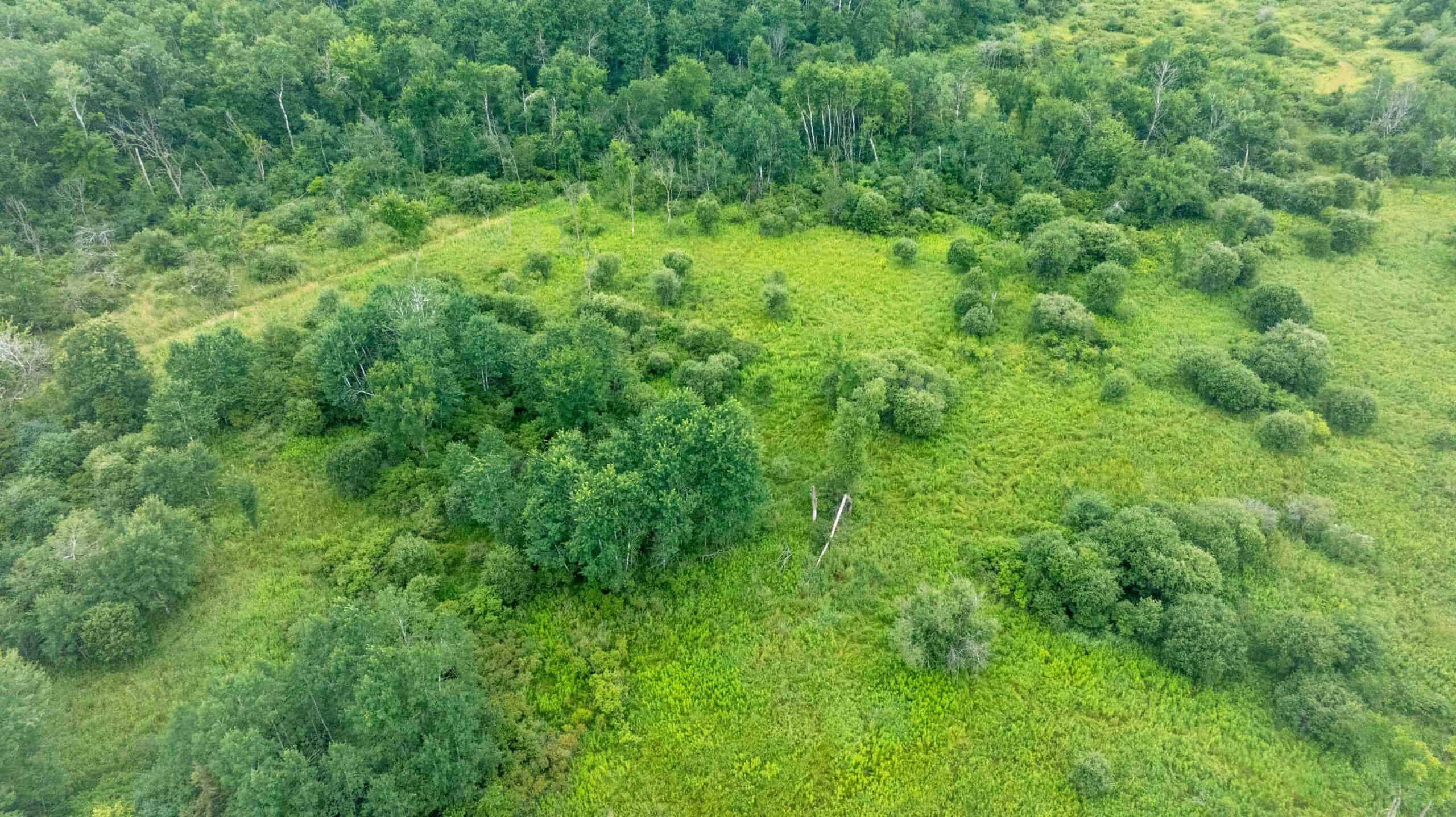 Town of Lewiston Columbia County WI 86+/- Acre Farm brought to you at Online Only Auction