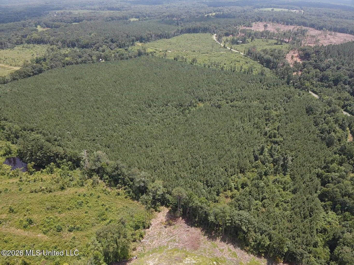37 Acres for Sale in Morton, MS | Wooded Land