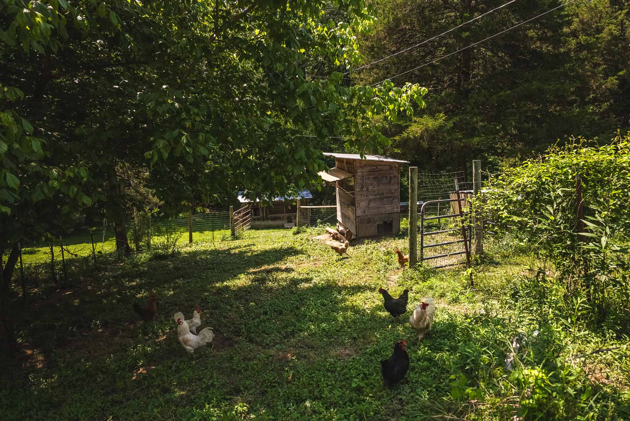 Two Homes, a 12-Stall Horse Barn & 34± Acres at the Foot of the Smokies — Move-In Ready in Cocke County