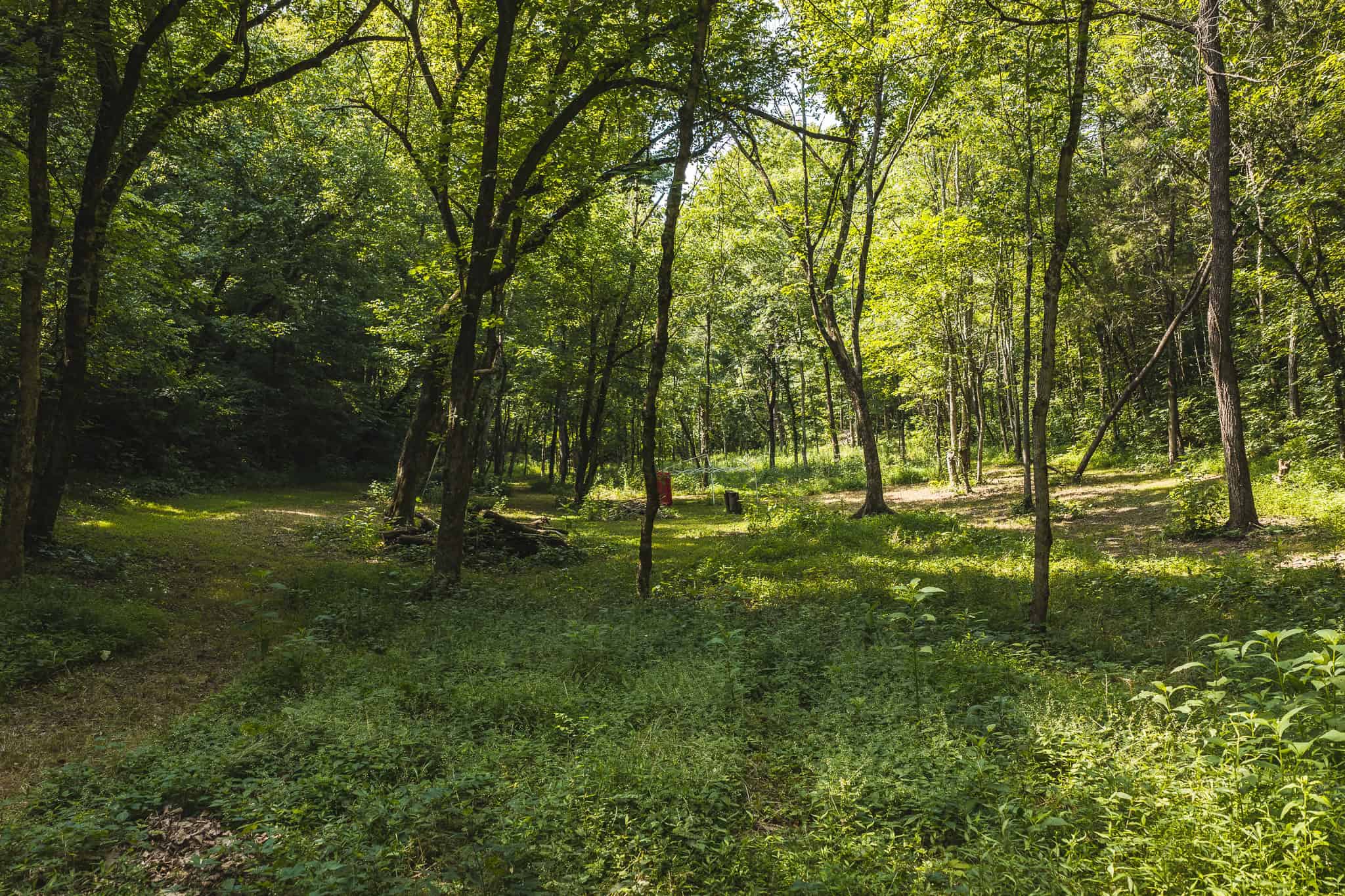 Two Homes, a 12-Stall Horse Barn & 34± Acres at the Foot of the Smokies — Move-In Ready in Cocke County