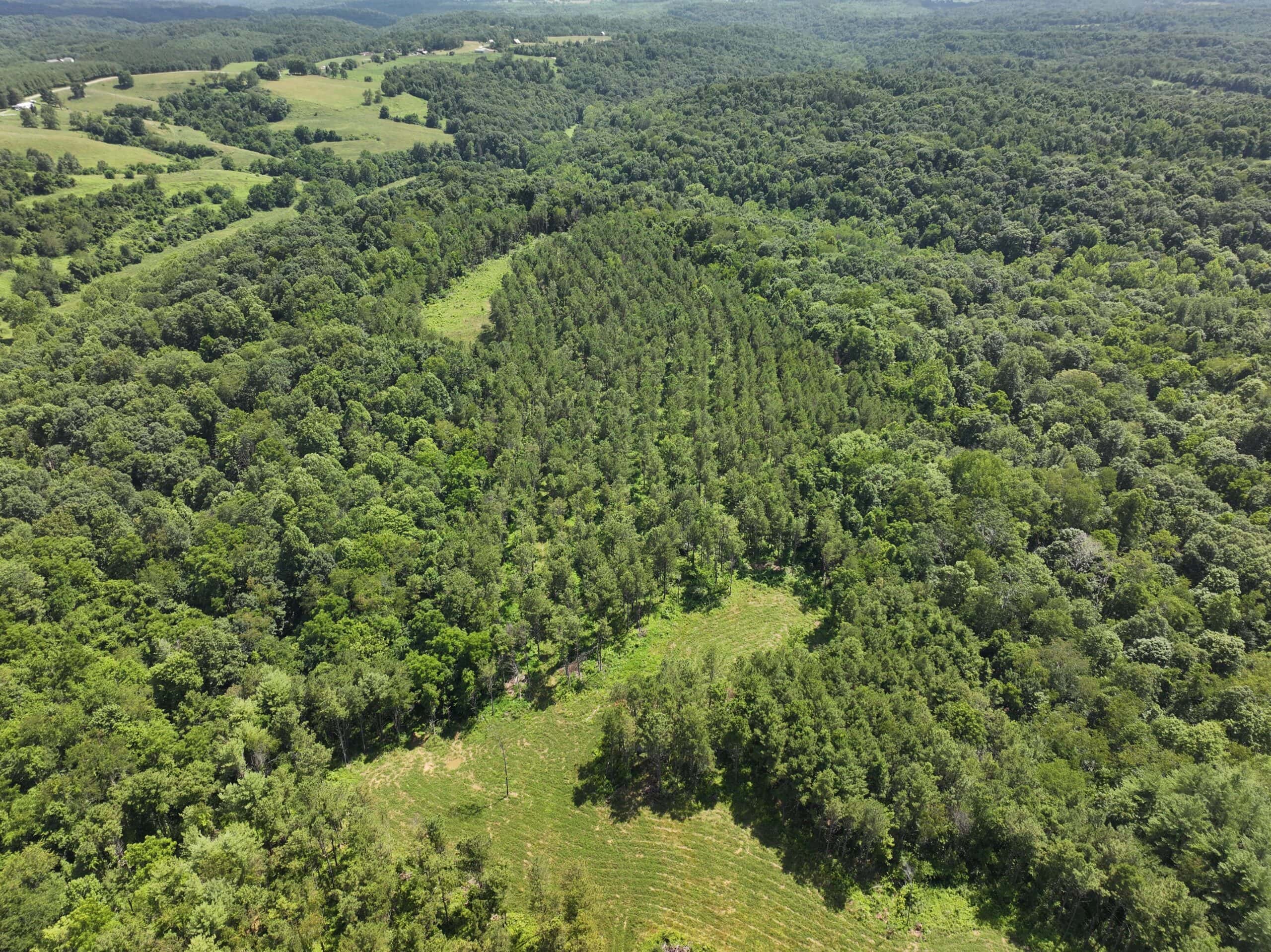 Secluded Turnkey Hunting Property