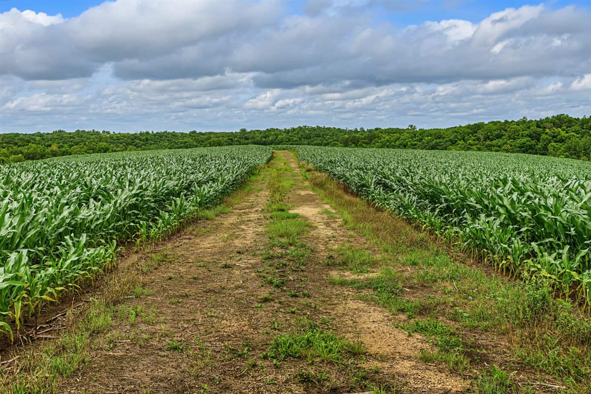 Exceptional 40± acre farm and recreational property