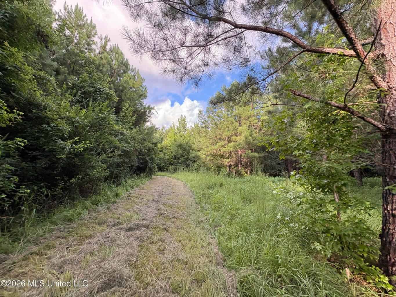 57 Acres Hunting Land for Sale in Gloster MS