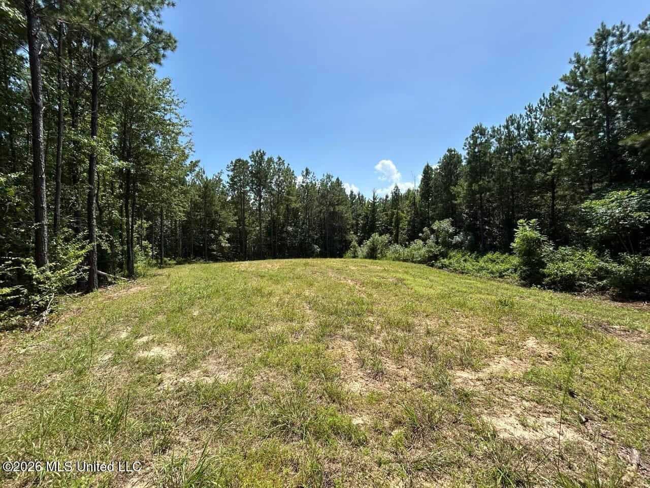 11± Acres in McCall Creek, MS with Creek Frontage