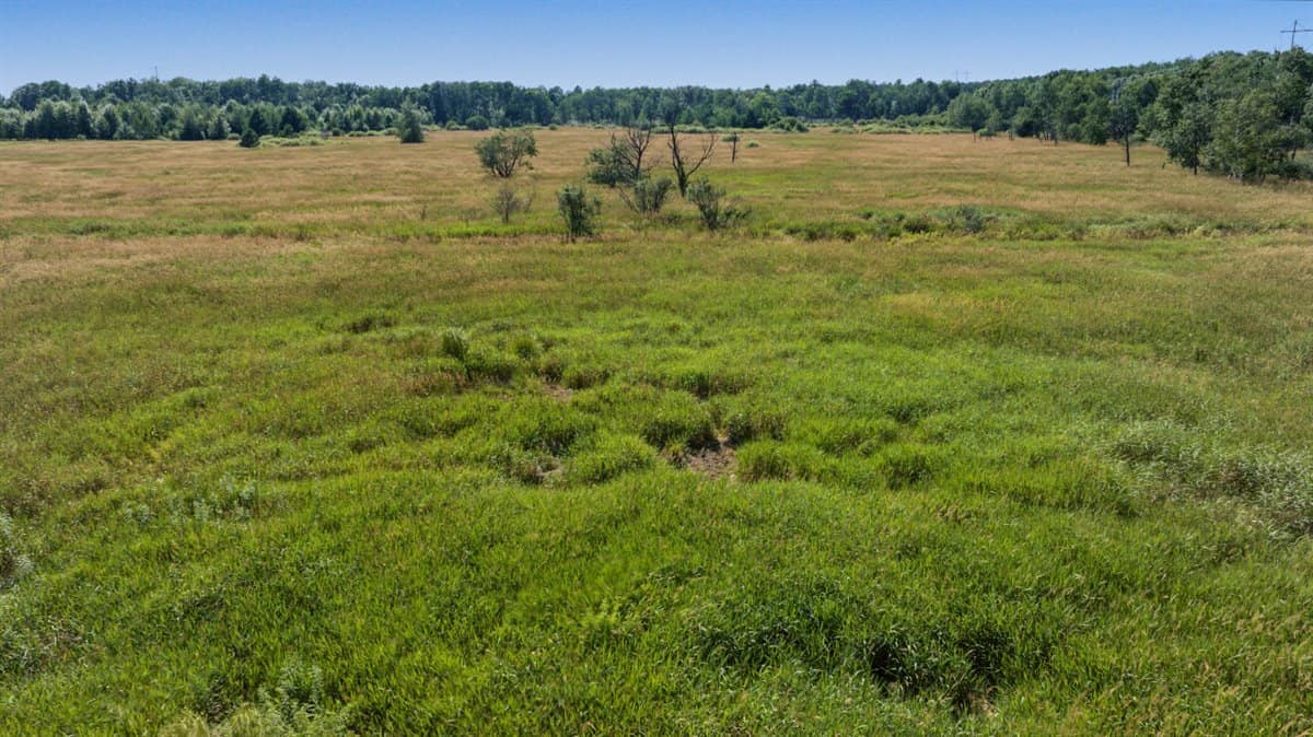 Wisconsin Conservation Land for Sale | 97± Acres in Monroe County