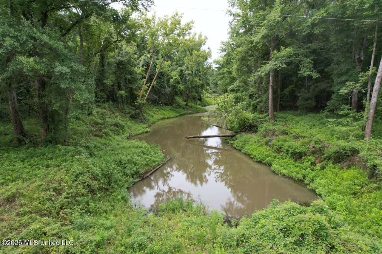 140± Acres in West Feliciana Parish, LA